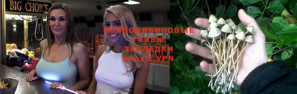соль курить ск Надым