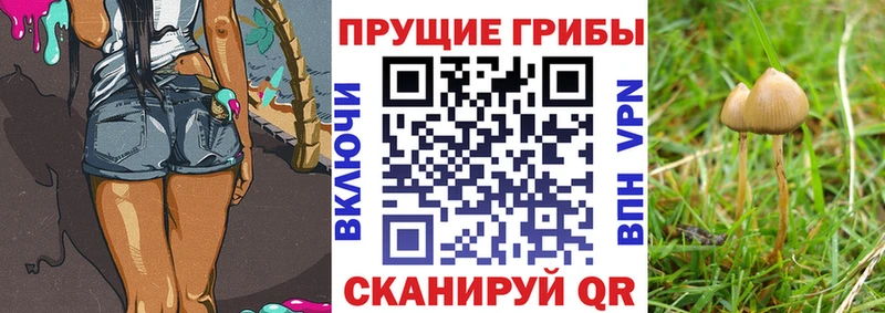 Псилоцибиновые грибы ЛСД  Самара 