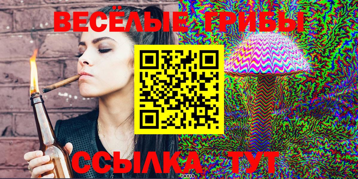 Галлюциногенные грибы Cubensis Самара