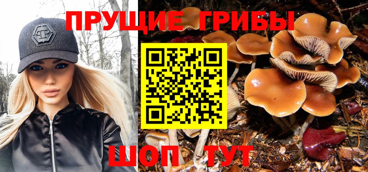 Галлюциногенные грибы ЛСД  Вход с VPN  Псилоцибиновые грибы MAGIC MUSHROOMS  Самара 